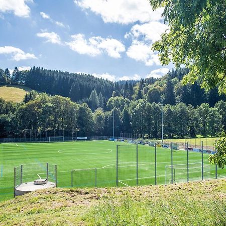Modern Apartment In Schwalefeld With Garden Willingen  Exteriér fotografie