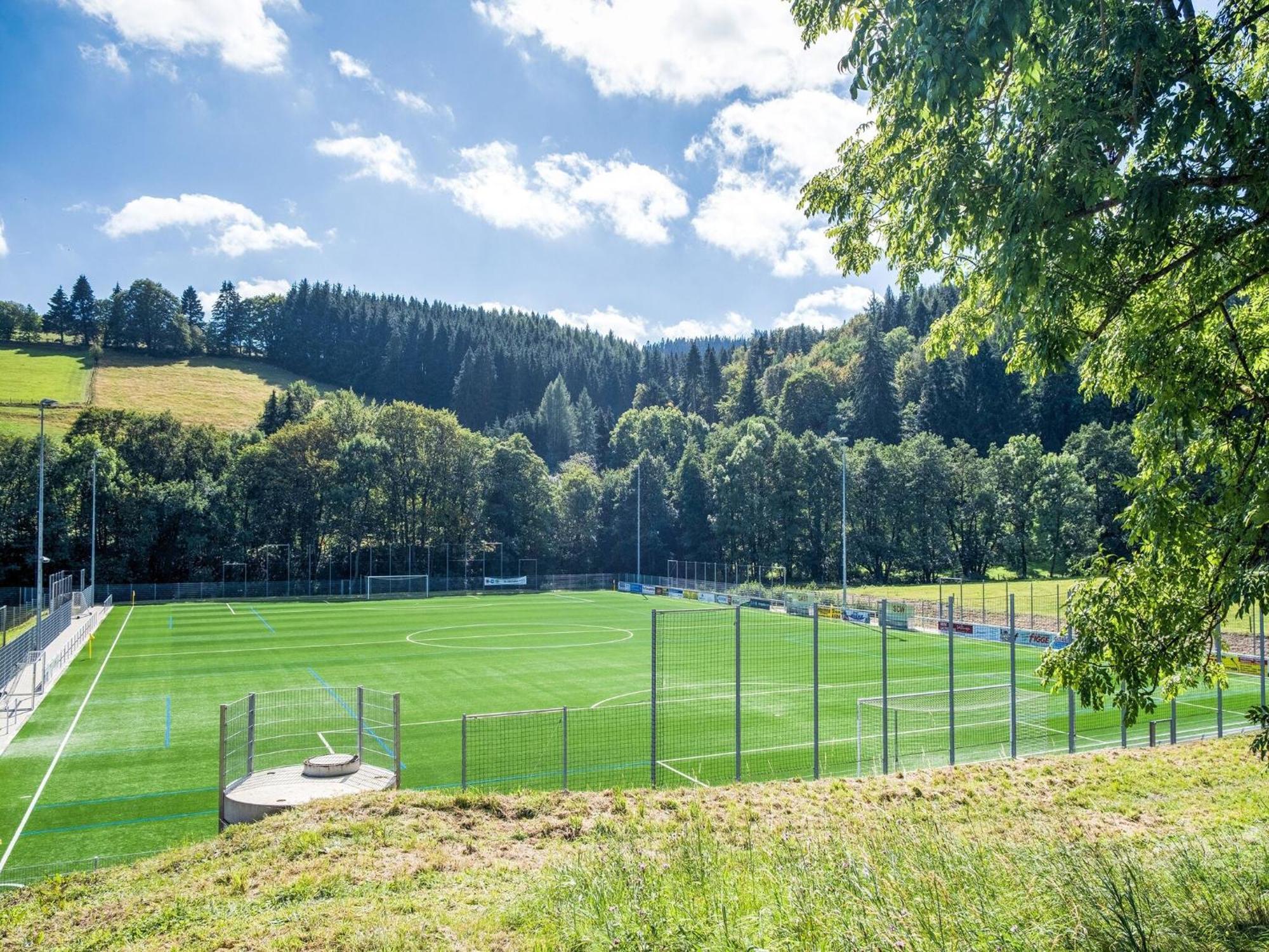 Modern Apartment In Schwalefeld With Garden Willingen  Exteriér fotografie
