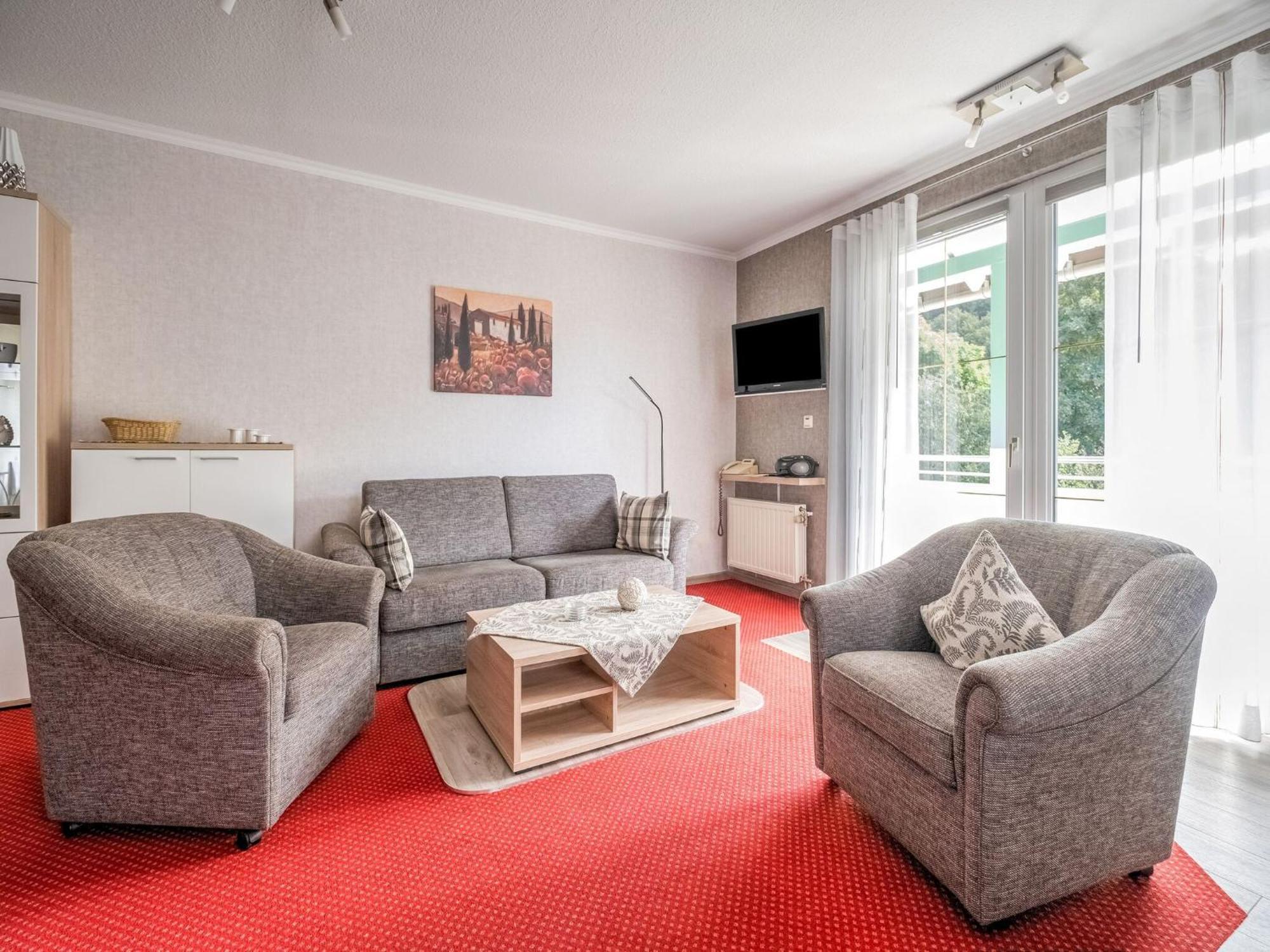 Modern Apartment In Schwalefeld With Garden Willingen  Exteriér fotografie