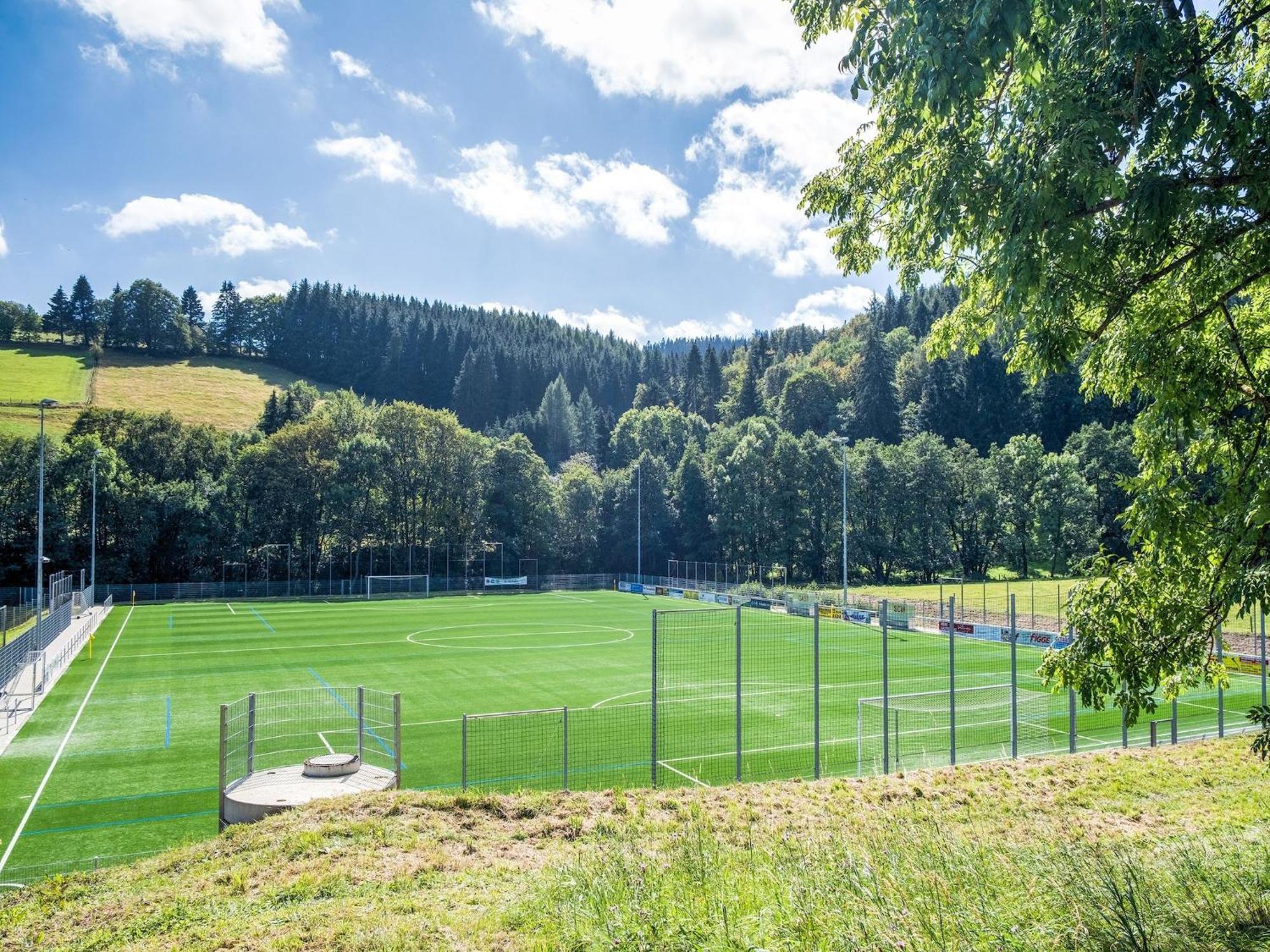 Modern Apartment In Schwalefeld With Garden Willingen  Exteriér fotografie